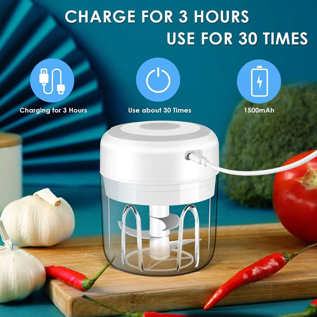 Electric 300ML Food Chopper and Blender