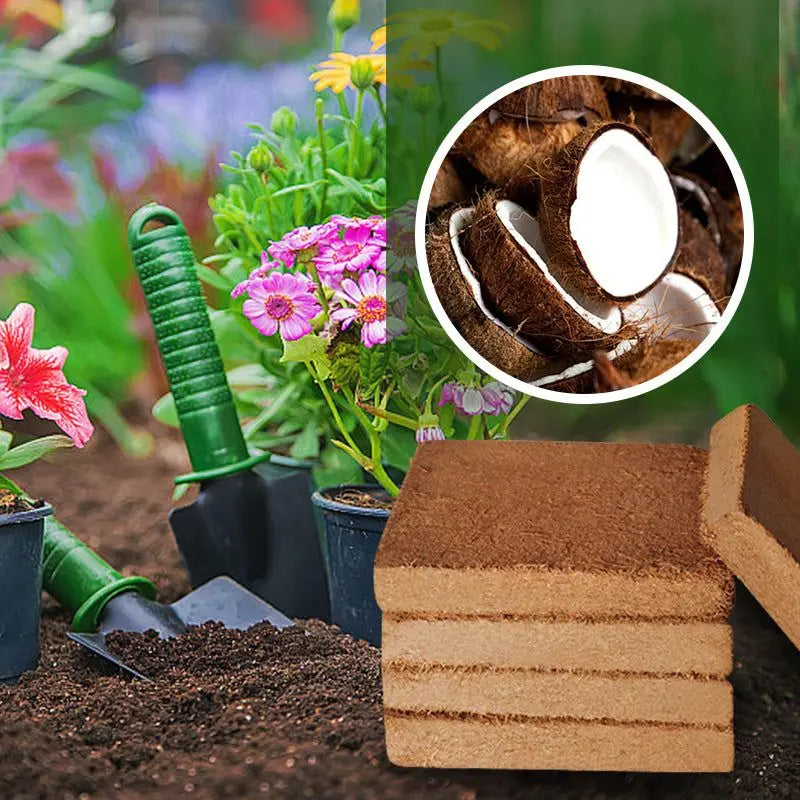 Nutrient-Rich Coir Pellets: Lightweight Soil Base for Vibrant Plants